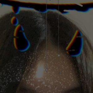 Meet your Posher, Rylee